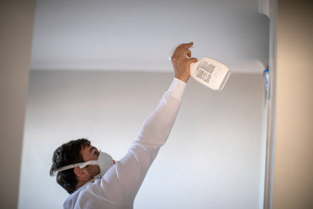 Best Black Mold Remediation in Churchill, OH